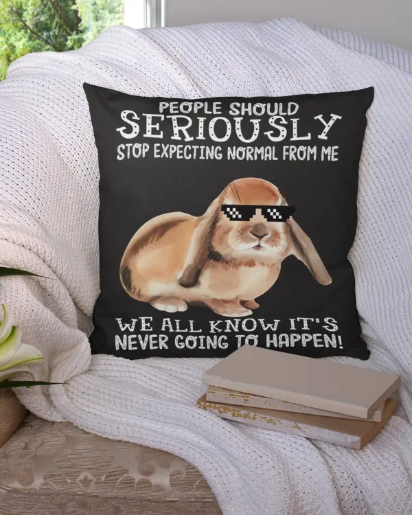 Cotton Drill Pillow (Dual Sided)