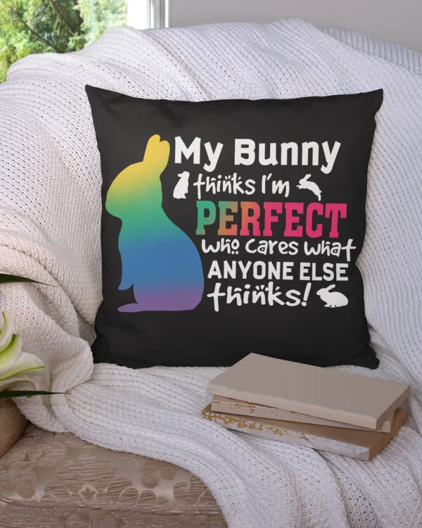 Cotton Drill Pillow (Dual Sided)