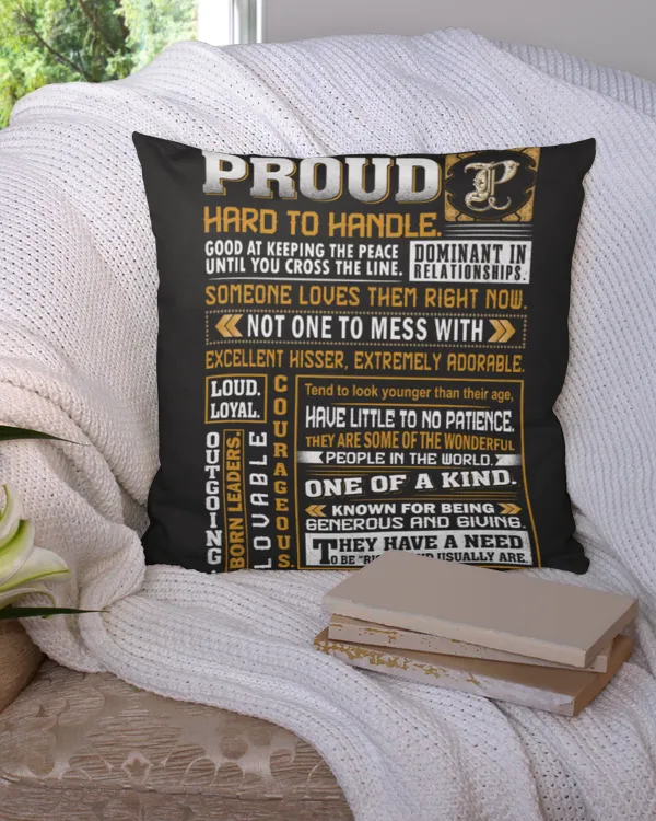 Cotton Drill Pillow (Dual Sided)