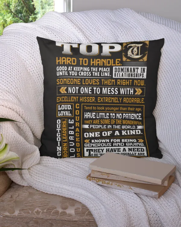 Cotton Drill Pillow (Dual Sided)