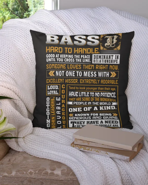 Cotton Drill Pillow (Dual Sided)