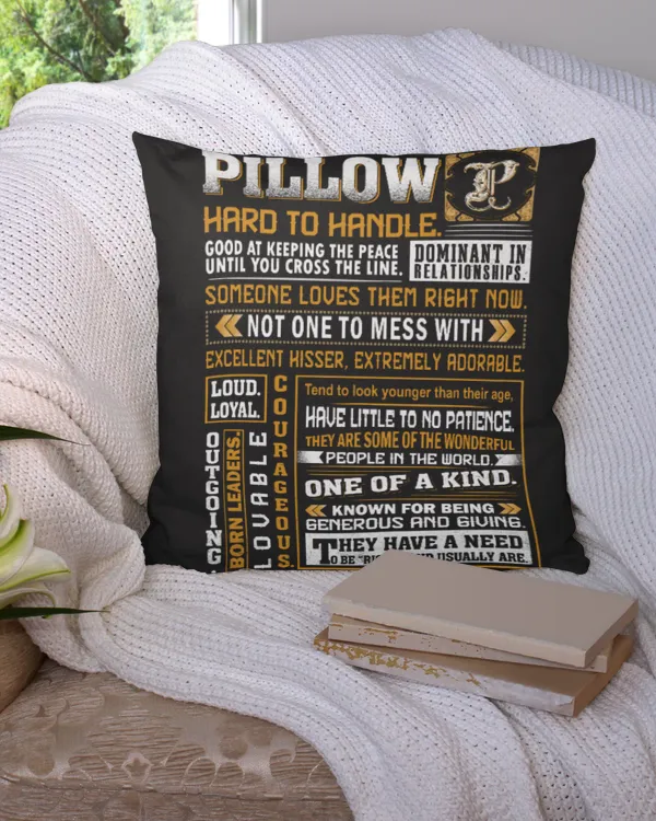 Cotton Drill Pillow (Dual Sided)
