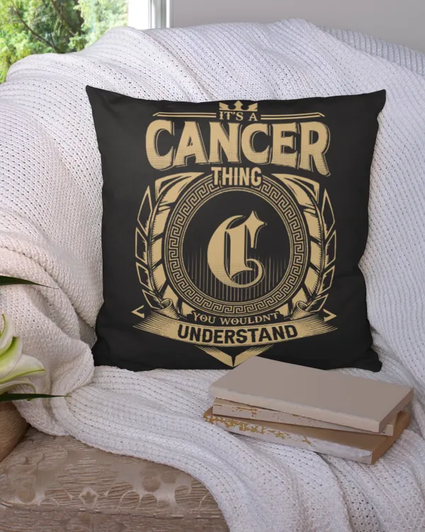 Cotton Drill Pillow (Dual Sided)