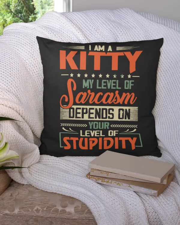 Cotton Drill Pillow (Dual Sided)