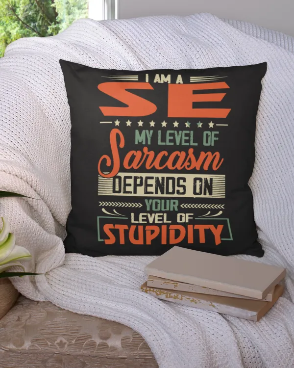 Cotton Drill Pillow (Dual Sided)