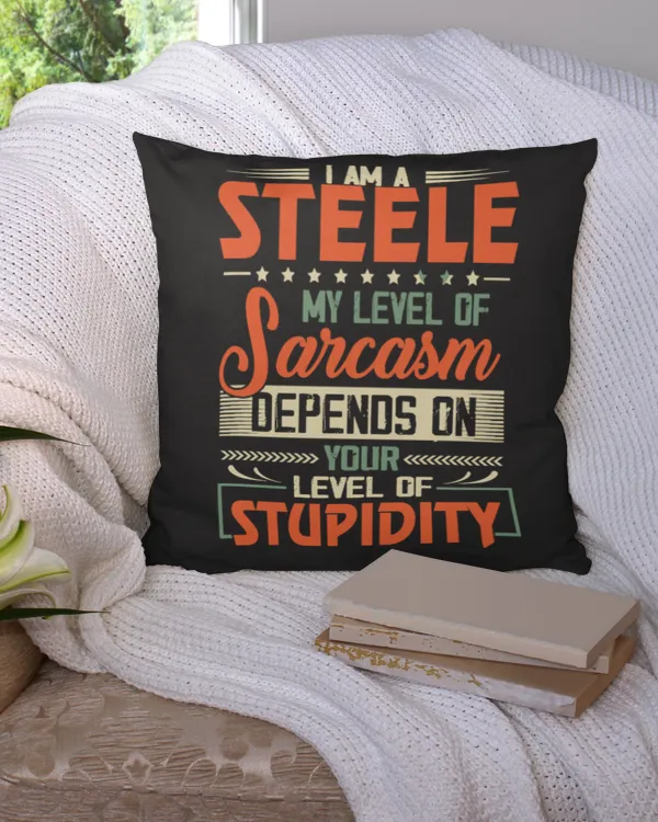 Cotton Drill Pillow (Dual Sided)