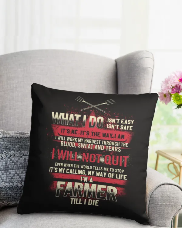 Cotton Drill Pillow (Dual Sided)