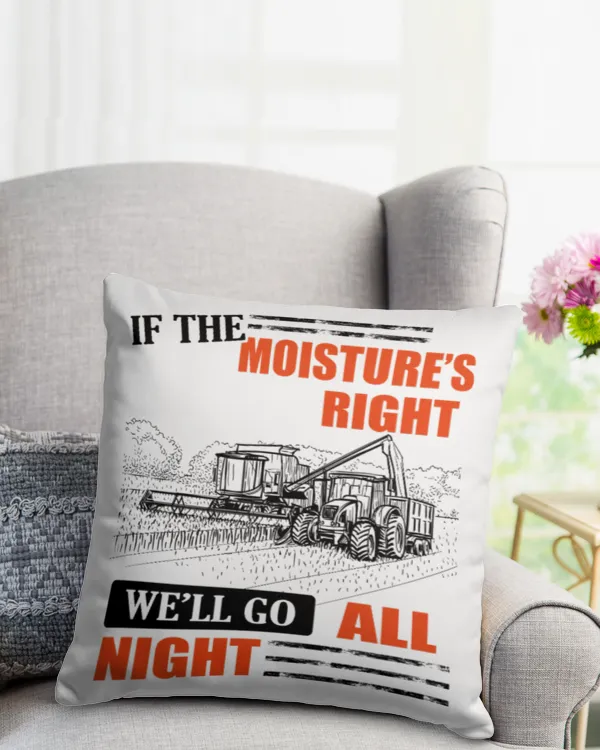 Cotton Drill Pillow (Dual Sided)