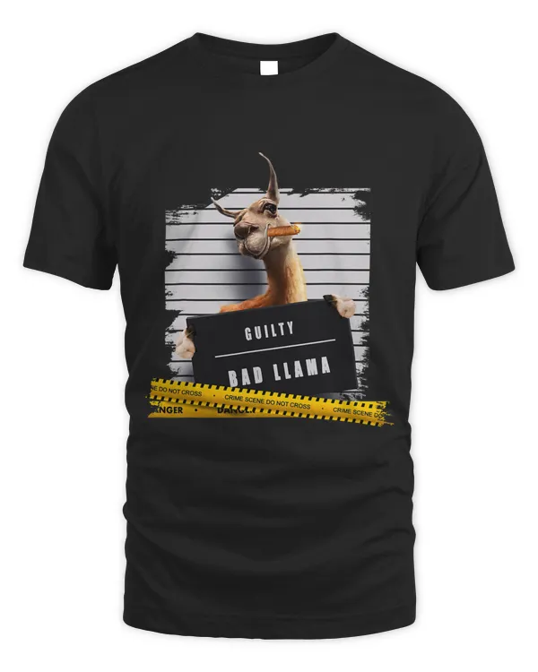 Unisex Standard T-Shirt (Overnight)