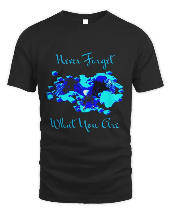 Unisex Standard T-Shirt (Overnight)
