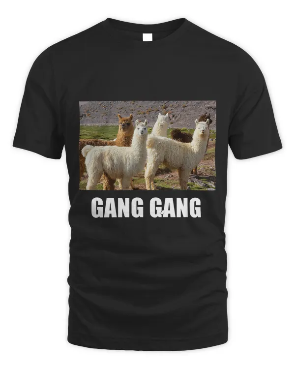 Unisex Standard T-Shirt (Overnight)