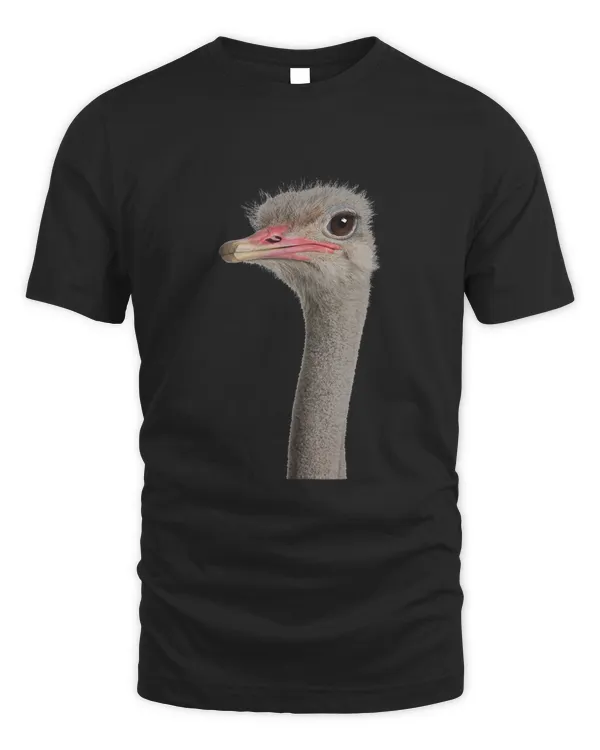 Unisex Standard T-Shirt (Overnight)