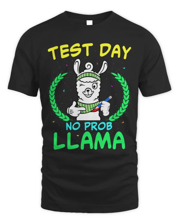 Unisex Standard T-Shirt (Overnight)