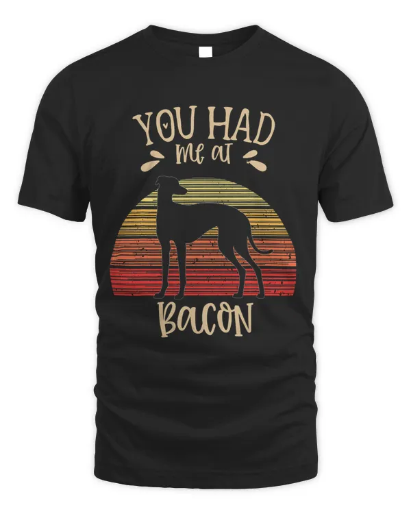 Unisex Standard T-Shirt (Overnight)