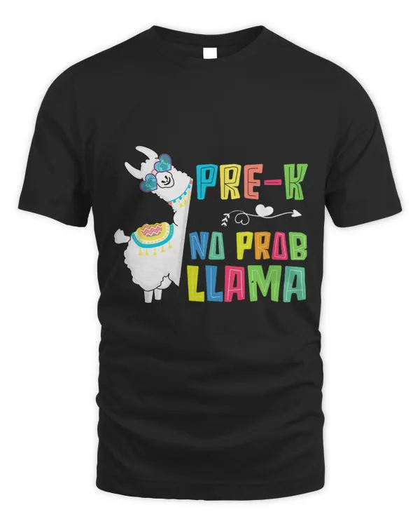 Unisex Standard T-Shirt (Overnight)