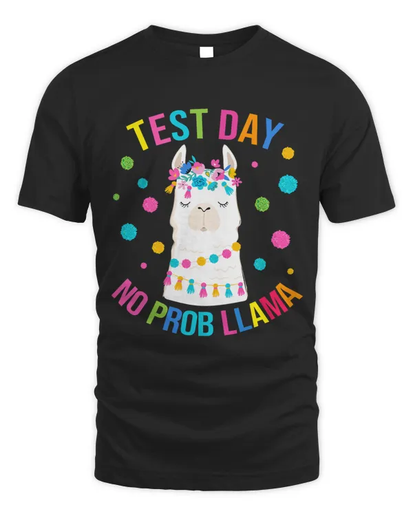 Unisex Standard T-Shirt (Overnight)