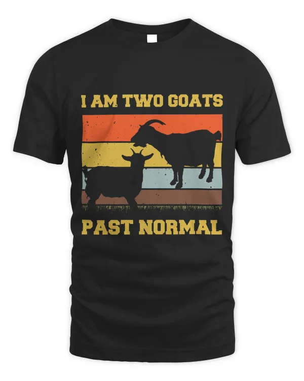 Unisex Standard T-Shirt (Overnight)