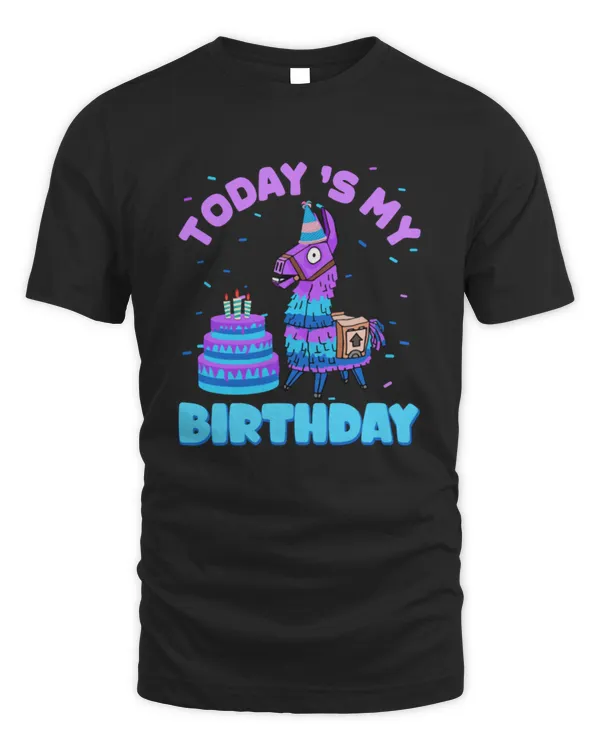 Unisex Standard T-Shirt (Overnight)