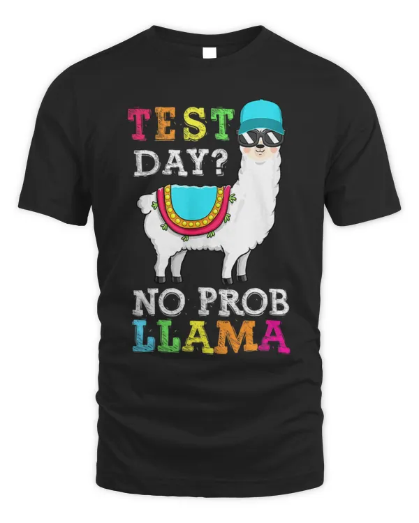 Unisex Standard T-Shirt (Overnight)