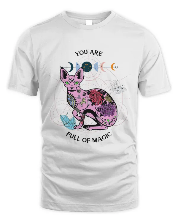 Unisex Standard T-Shirt (Overnight)