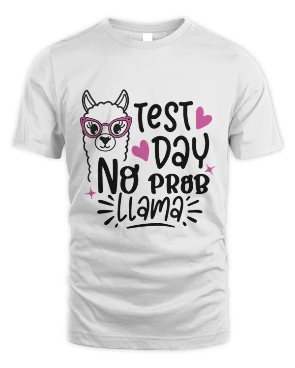 Unisex Standard T-Shirt (Overnight)