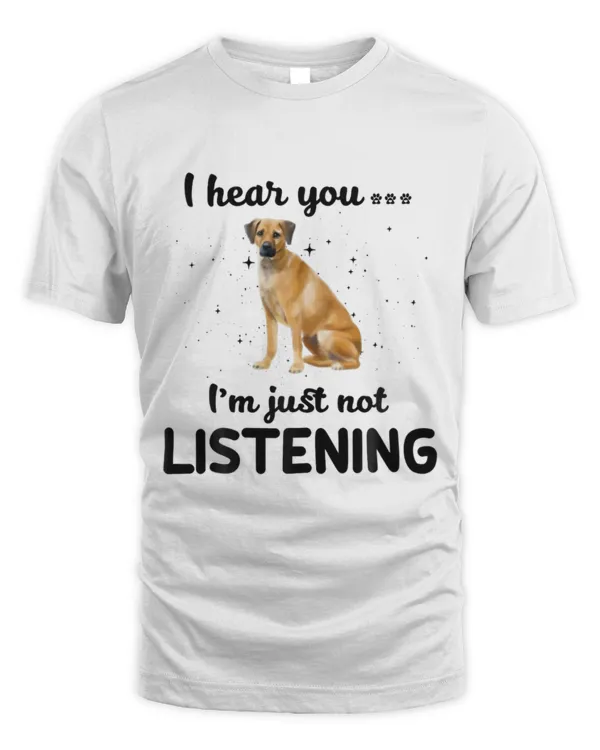 Unisex Standard T-Shirt (Overnight)