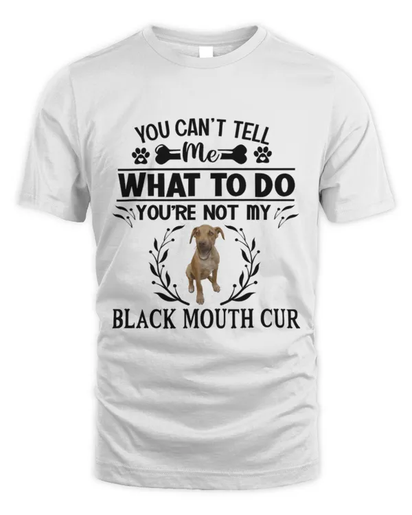 Unisex Standard T-Shirt (Overnight)
