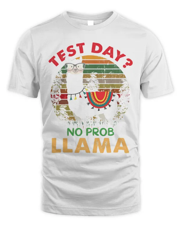 Unisex Standard T-Shirt (Overnight)