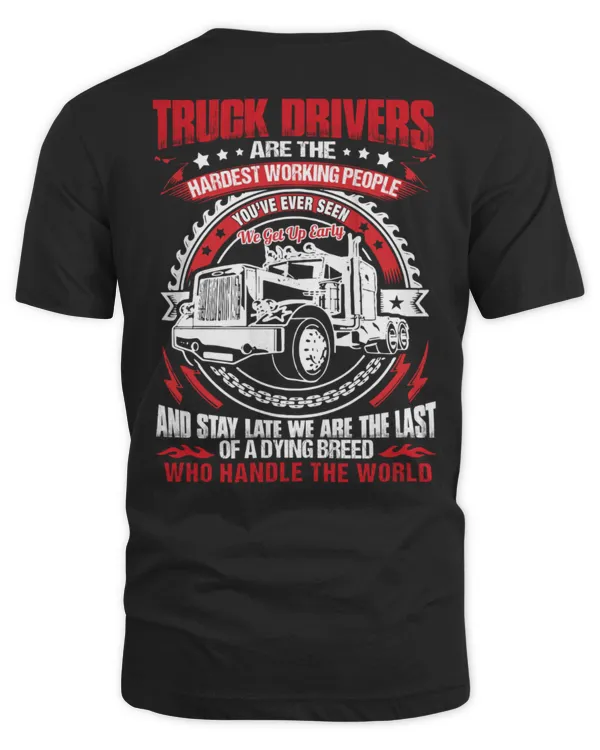 Unisex Standard T-Shirt (Overnight)