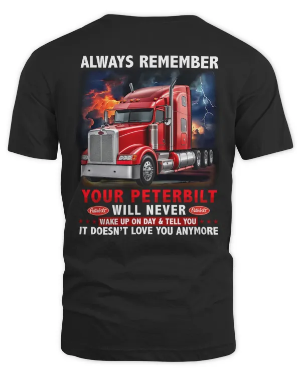 Unisex Standard T-Shirt (Overnight)