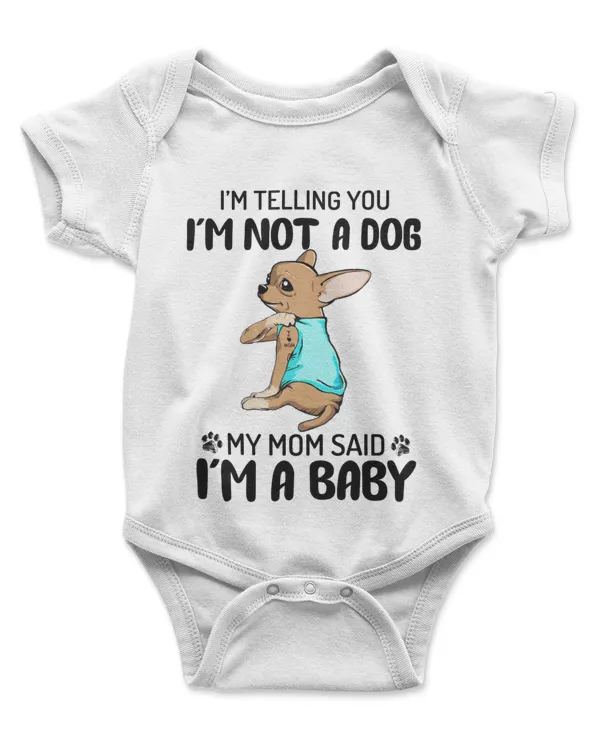 Infant Short Sleeve Bodysuit