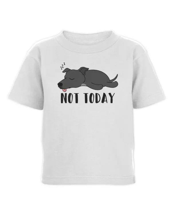 Toddler Cotton Jersey T-Shirt