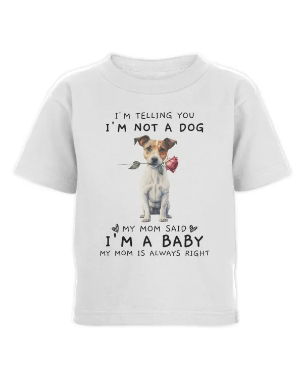 Toddler Cotton Jersey T-Shirt