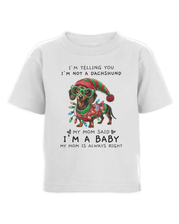 Toddler Cotton Jersey T-Shirt