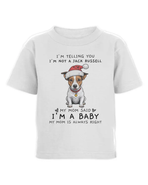 Toddler Cotton Jersey T-Shirt