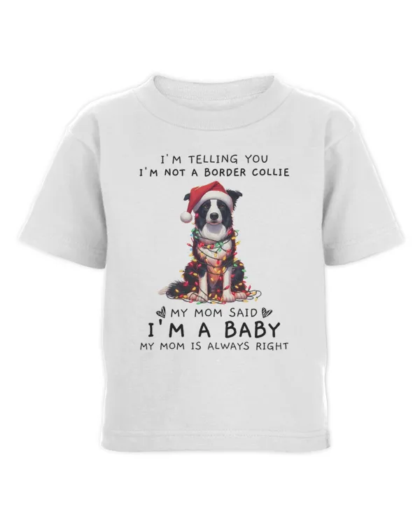 Toddler Cotton Jersey T-Shirt