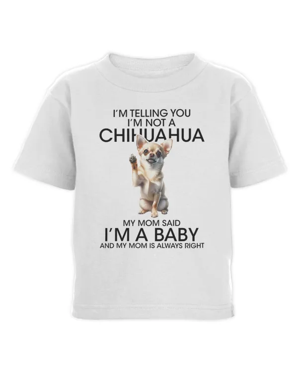 Toddler Cotton Jersey T-Shirt