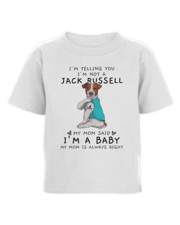 Toddler Cotton Jersey T-Shirt