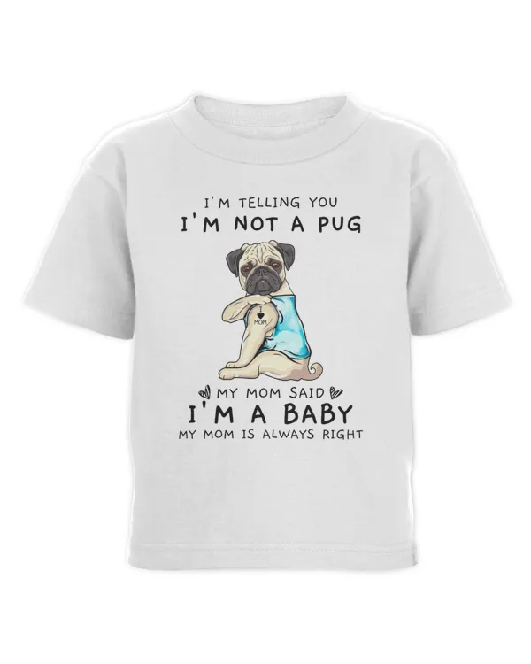 Toddler Cotton Jersey T-Shirt