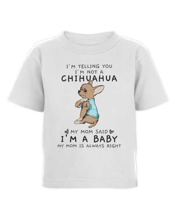 Toddler Cotton Jersey T-Shirt
