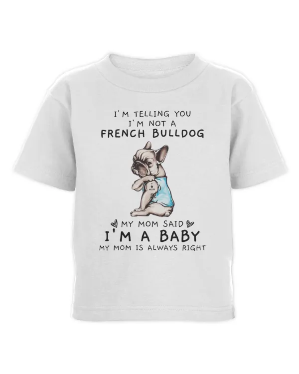 Toddler Cotton Jersey T-Shirt