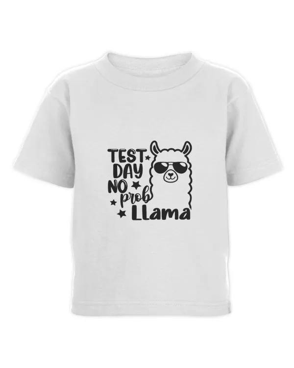 test day no problem probllama llama teacher testing day 12 test day no problem probllama llama teacher testing day 12