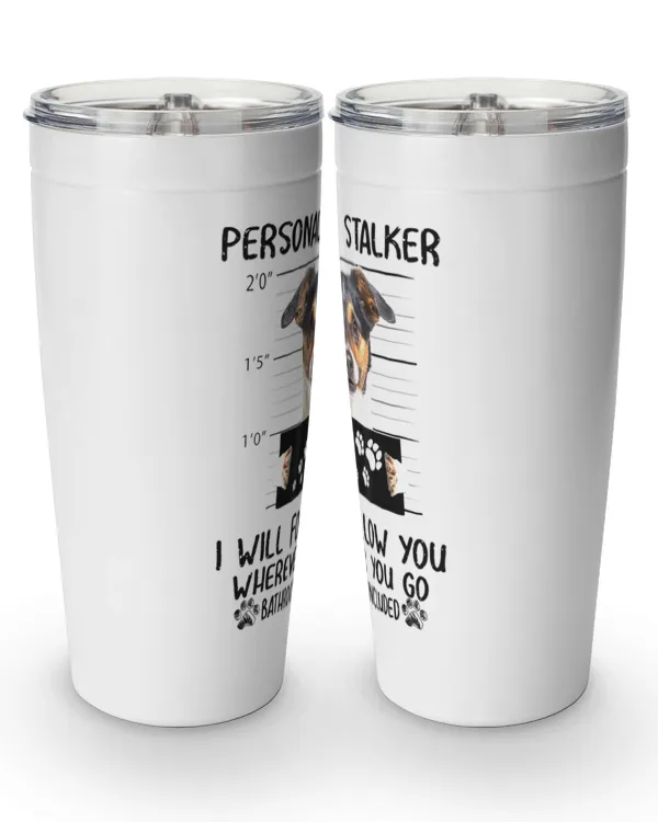 Viking Tumbler (20oz)