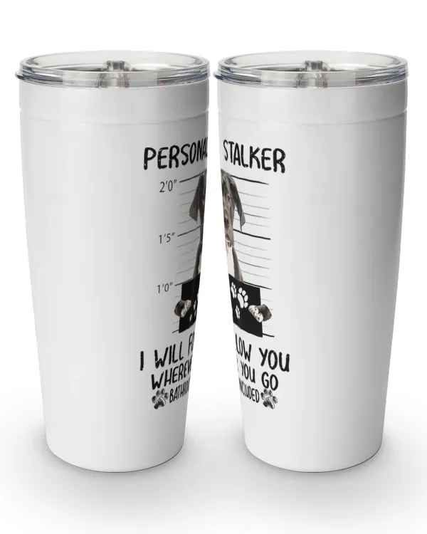 Viking Tumbler (20oz)