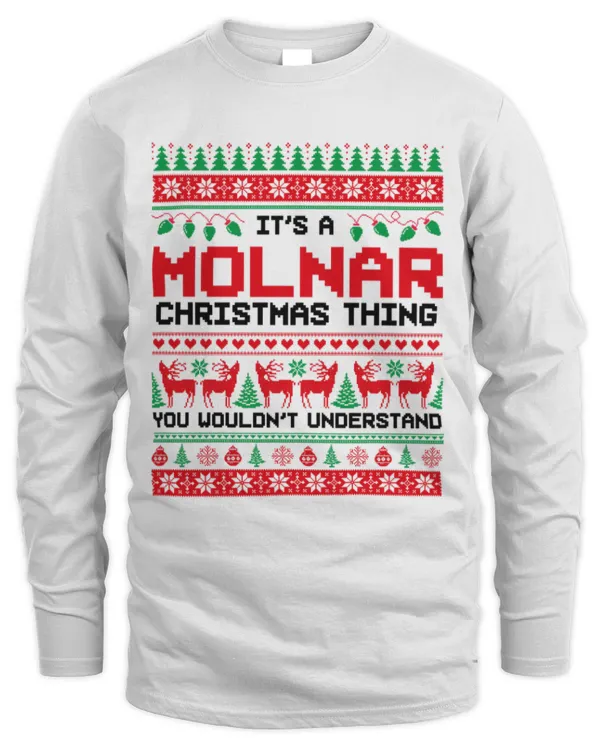 Fbus02912 Molnar H63