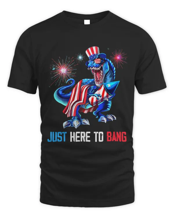 Just Here To Bang Dinosaur T Rex 4th Of July Fireworks Boys