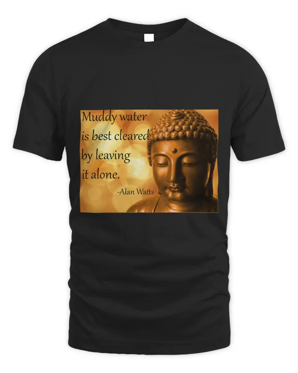 Muddy water is best cleared by leaving it alone. Meditation