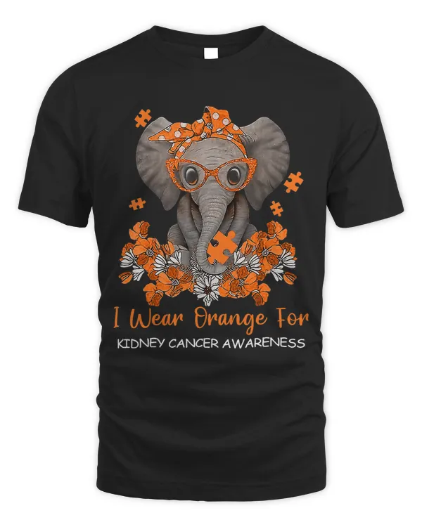 I Wear Orange For Kidney Cancer Awareness Elephant Warrior