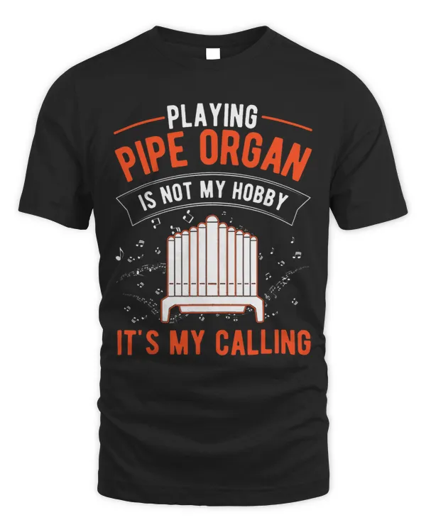 Organ Hobby Pipe Organ Player Organist 1