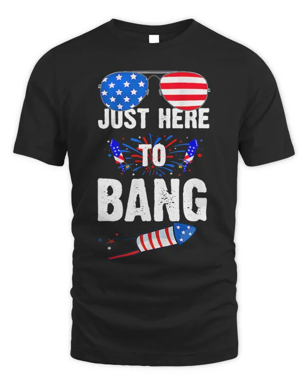 Funny 4th Of July Im Just Here To Bang USA Flag Sunglasses 3